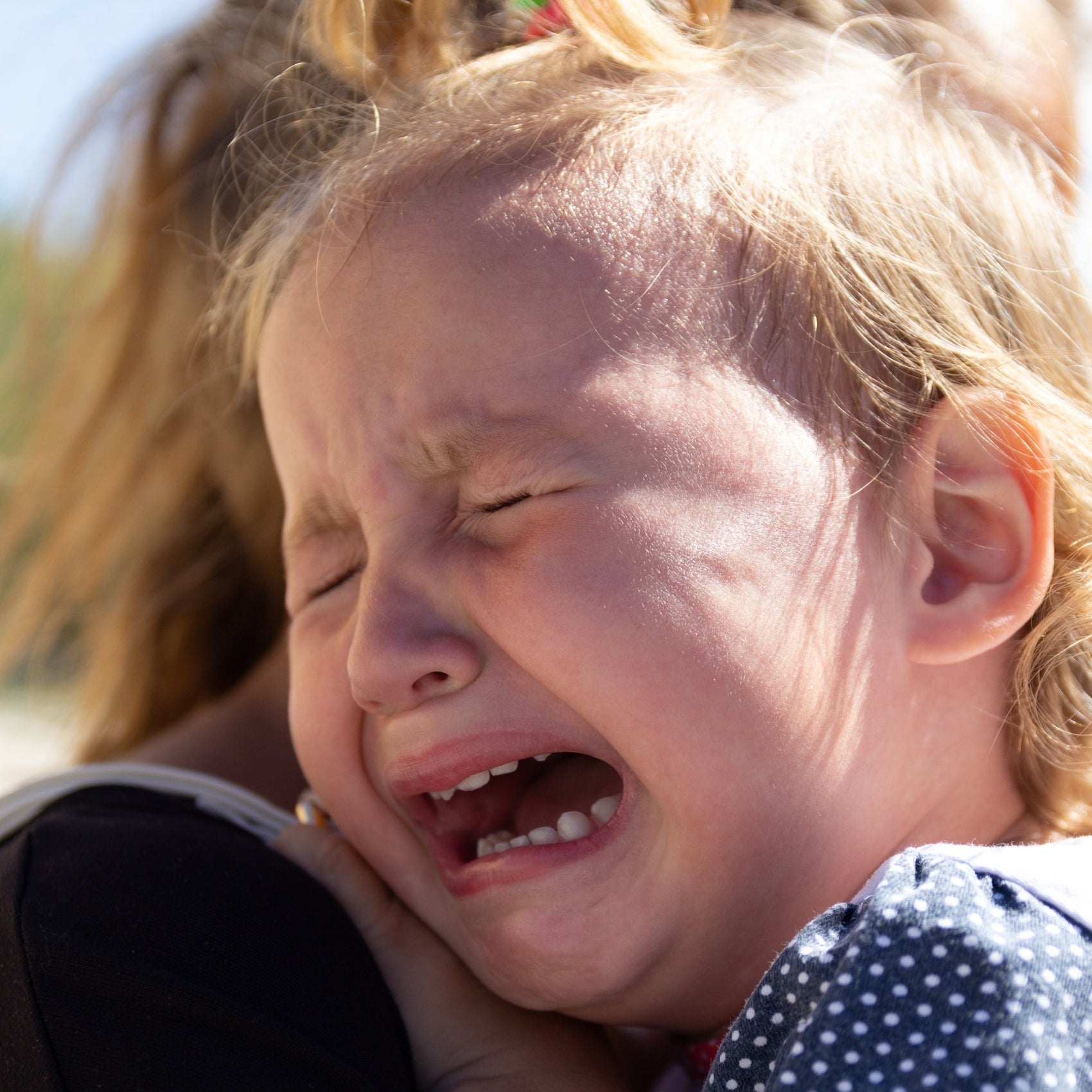 Eingewöhnung im Kindergarten und in der Krippe