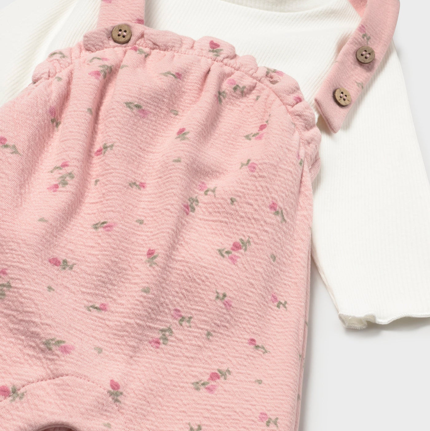 Slajd obrazu