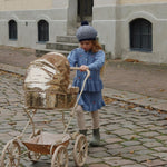 Slajd obrazu