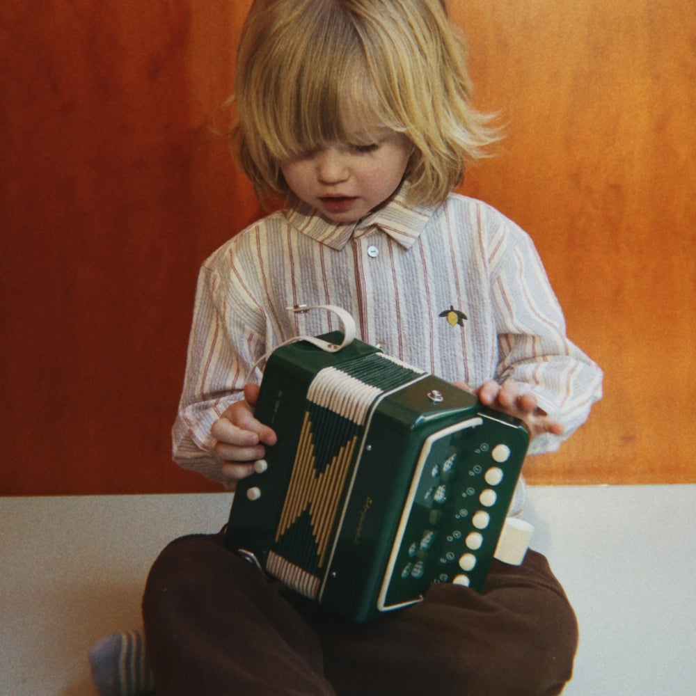 Slajd obrazu