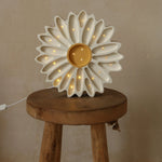34fc3ee3a018fcddd29ba5dd80001ab0