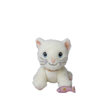 Slajd obrazu