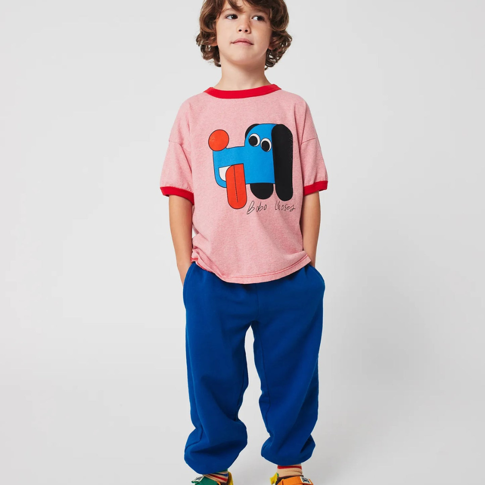 Slajd obrazu