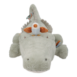 Slajd obrazu