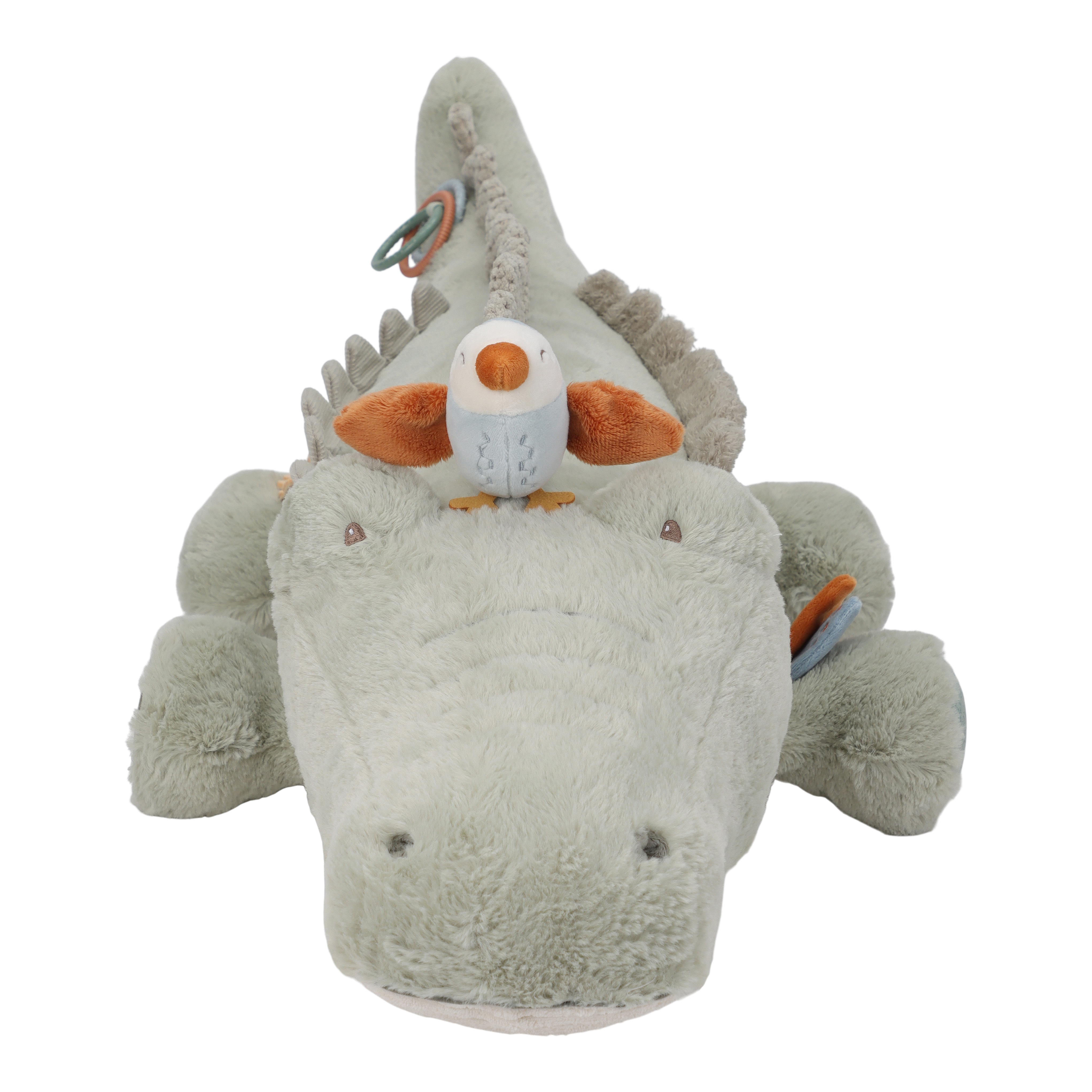 Slajd obrazu
