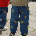 Slajd obrazu