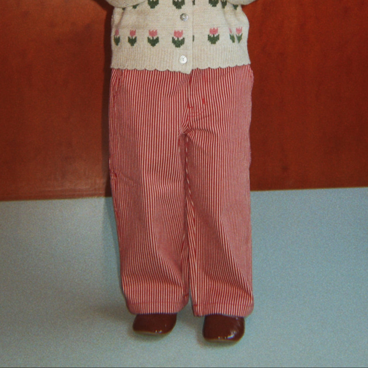 Slajd obrazu
